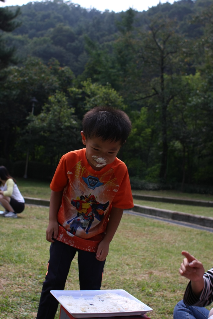 3972770c40197878be361236be3e71d6_1479962