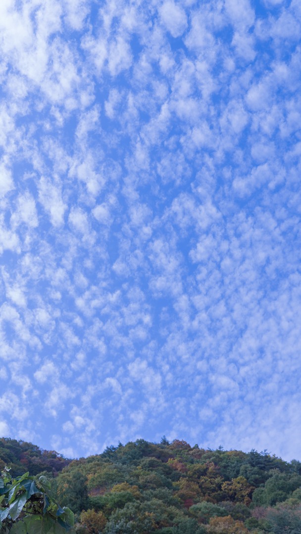 905135b79f58f8f9d6e72e8ab5463845_1510931